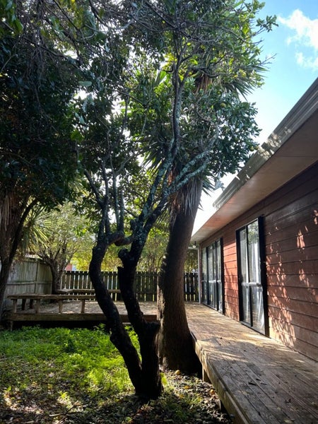 2/33 Anzac Street, Takapuna, Auckland - Carousel 2