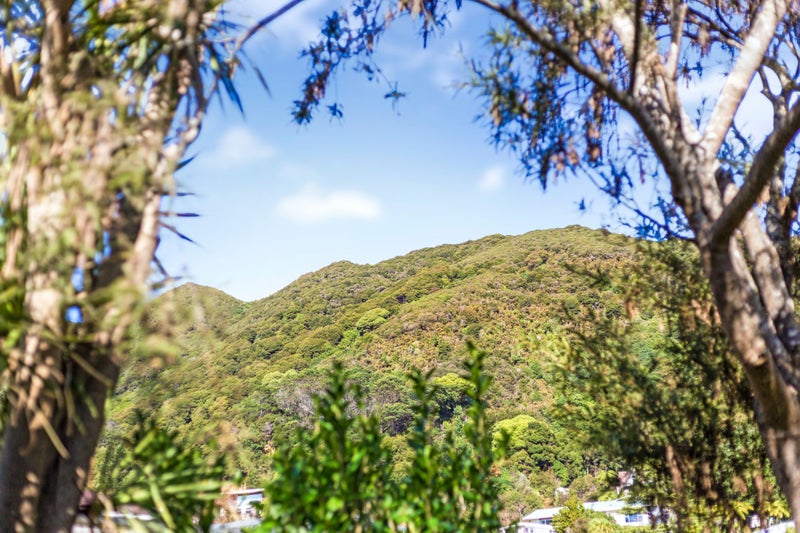 2 Cleary Street, Waterloo, Lower Hutt - Carousel 19