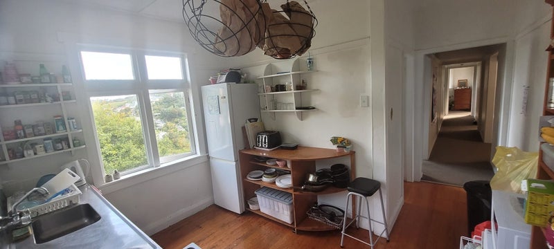 6 Semeloff Terrace, Aro Valley, Wellington - Carousel 19