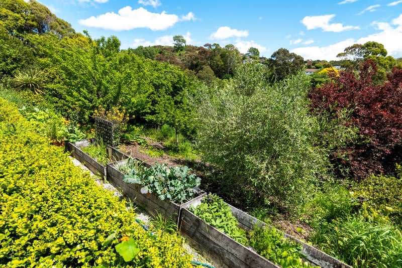 12 Jenner Road, Toi Toi, Nelson - Carousel 17