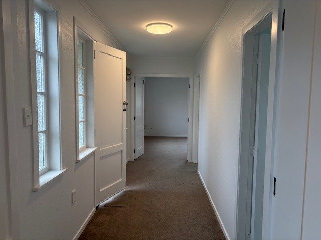 227 The Parade, Island Bay, Wellington - Carousel 5