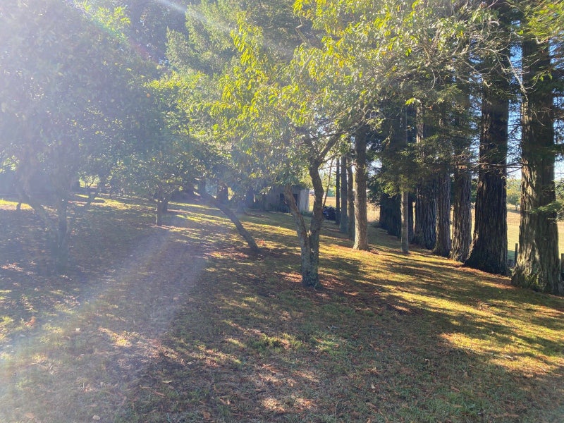 4 Berkers Road, Ngahinapouri, Hamilton - Carousel 16