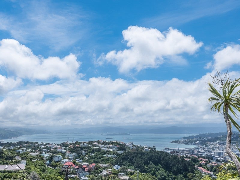 6 Highbury Crescent, Highbury, Wellington - Carousel 2
