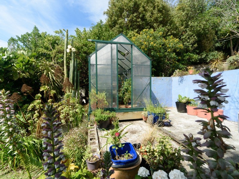 44 Mccoll Street, Vogeltown, Wellington - Carousel 12