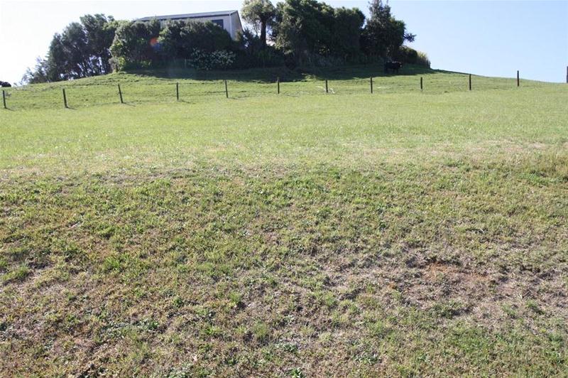 10 Ross Place, Whiritoa, Waihi - Carousel 2