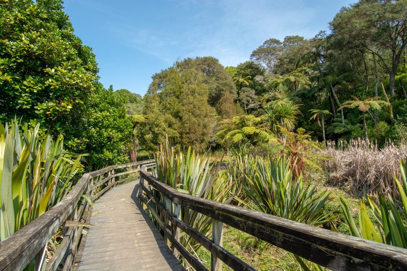 25 Riverstone Drive, Welcome Bay, Tauranga - Carousel 31