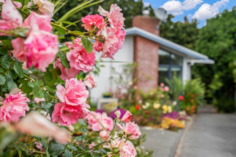 8 Jeeves Place, Tikipunga, Whangarei - Carousel 21