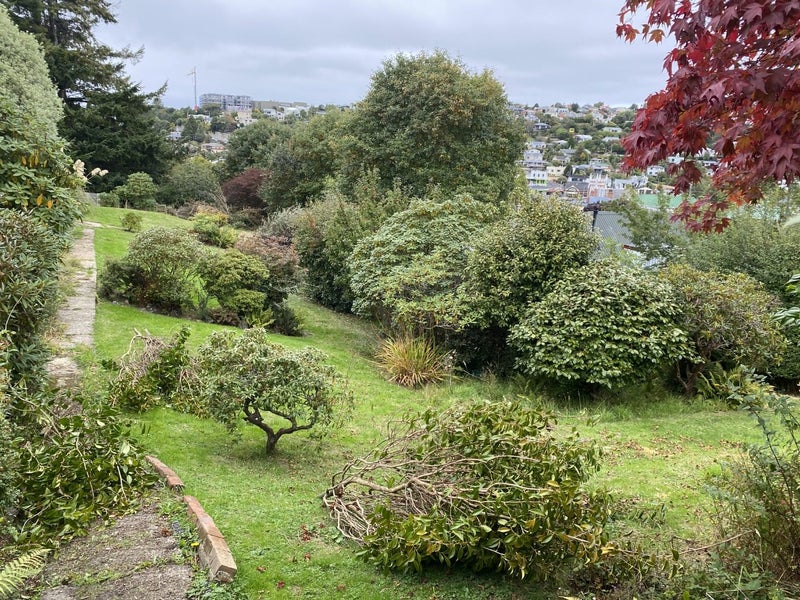 14 Farley Street, Kaikorai, Dunedin - Carousel 15