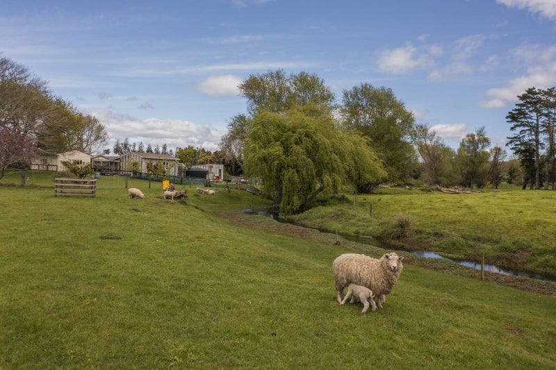 131 Trig Road North, Waihi - Carousel 1
