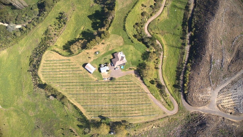 307 Campbell Road, Te Puke - Carousel 1