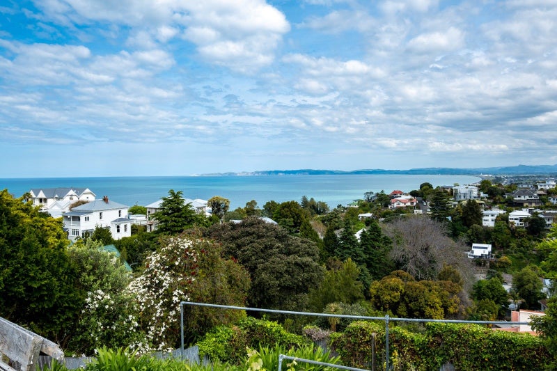 12 Lighthouse Road, Bluff Hill, Napier - Carousel 2