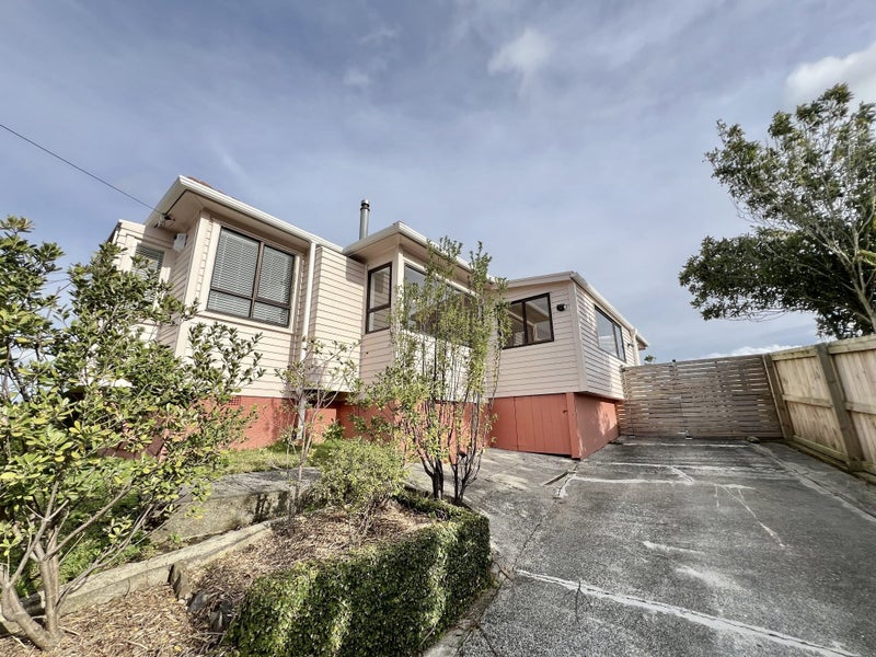 23 Potter Avenue, Mount Roskill, Auckland - Carousel 1