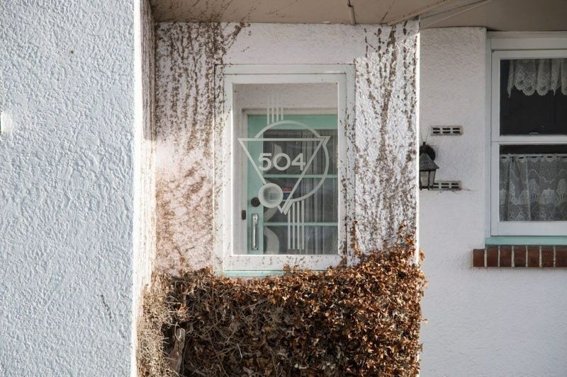 504 Tay Street, Hawthorndale, Invercargill - Carousel 14