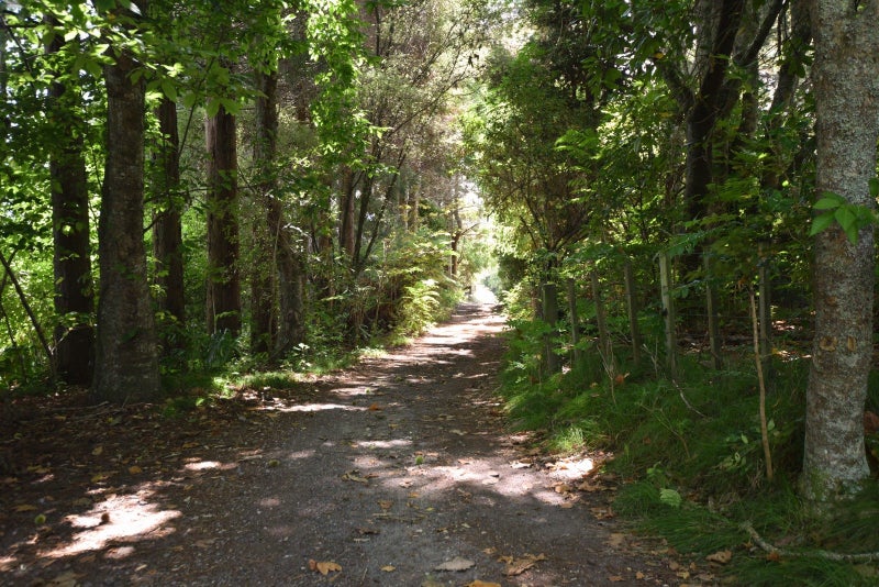 89B Hawthornden Drive, Tikitere, Rotorua - Carousel 2