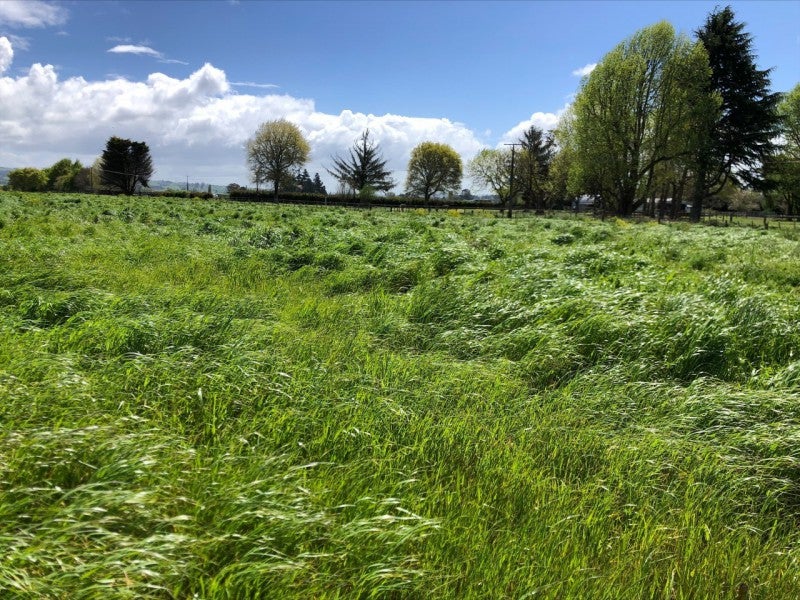 102 Old Taupo Road, Arapuni, Putāruru - Carousel 2