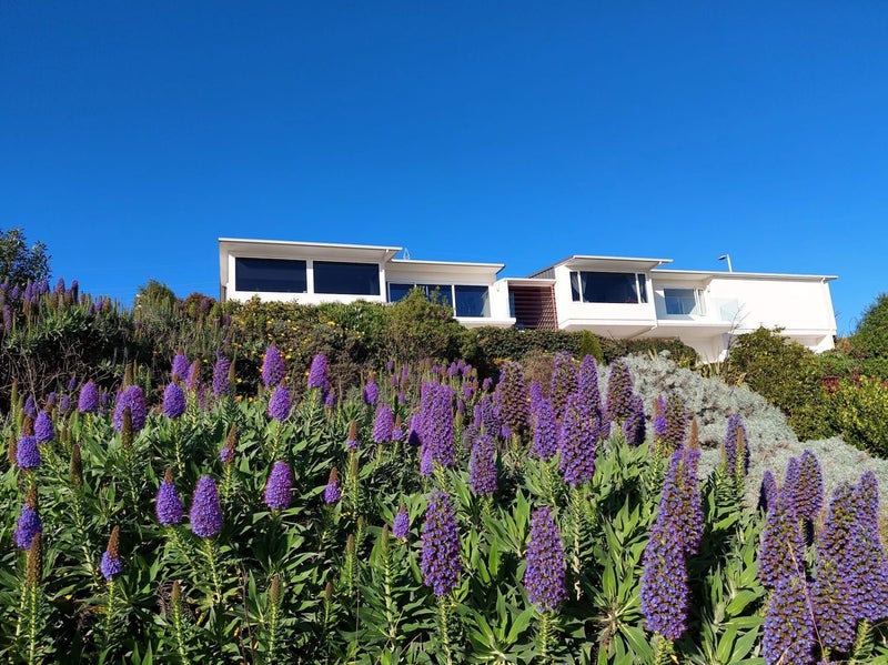 2 Clearview Lane, Mount Pleasant, Christchurch - Carousel 36