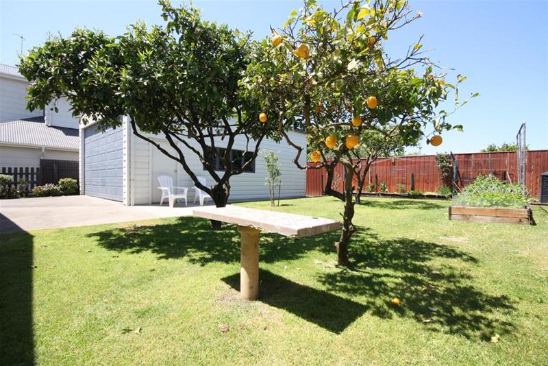522 Martyn Road, Whangamata - Carousel 20