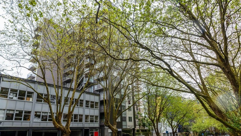 12C/113 Vincent Street, Auckland Central, Auckland - Carousel 1