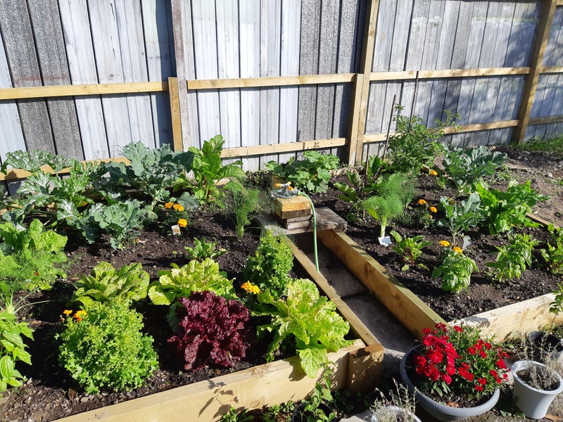 9 Norman Street, Nawton, Hamilton - Carousel 14