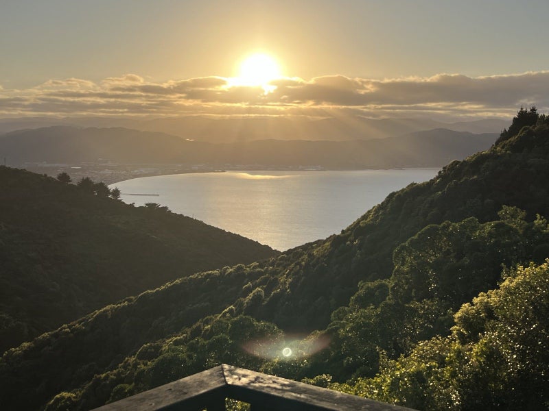 16B Fernhaven Grove, Newlands, Wellington - Carousel 23