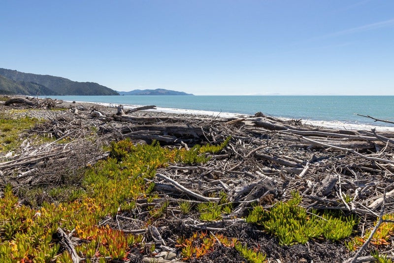 23 Hinepango Drive, Rarangi - Carousel 33