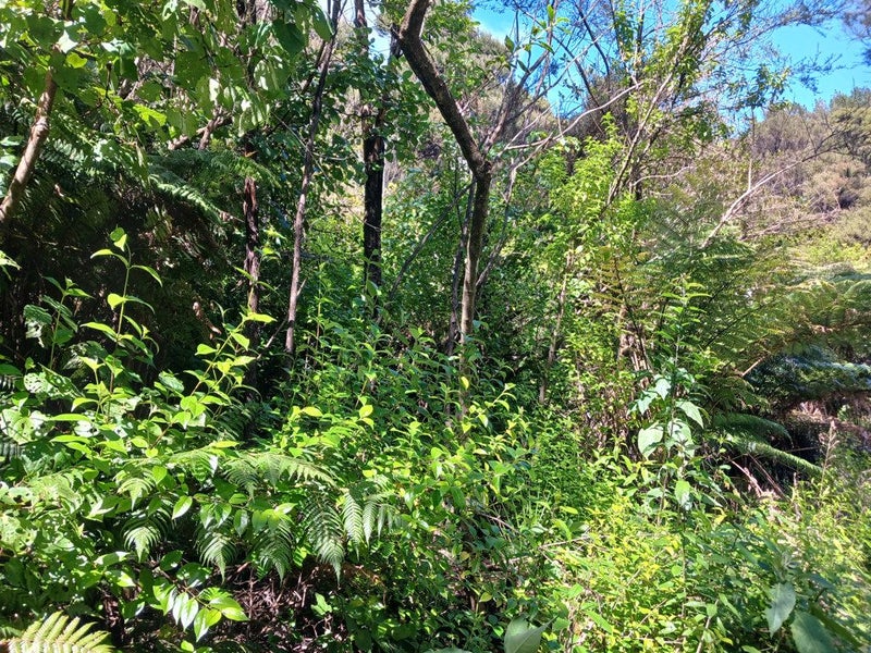 0 Backriver Road, Peria, Kaitaia - Carousel 2