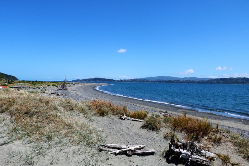 5 Kauri Street, Eastbourne, Lower Hutt - Carousel 14