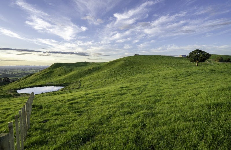 697 Maungakawa Road, Te Miro, Cambridge - Carousel 10