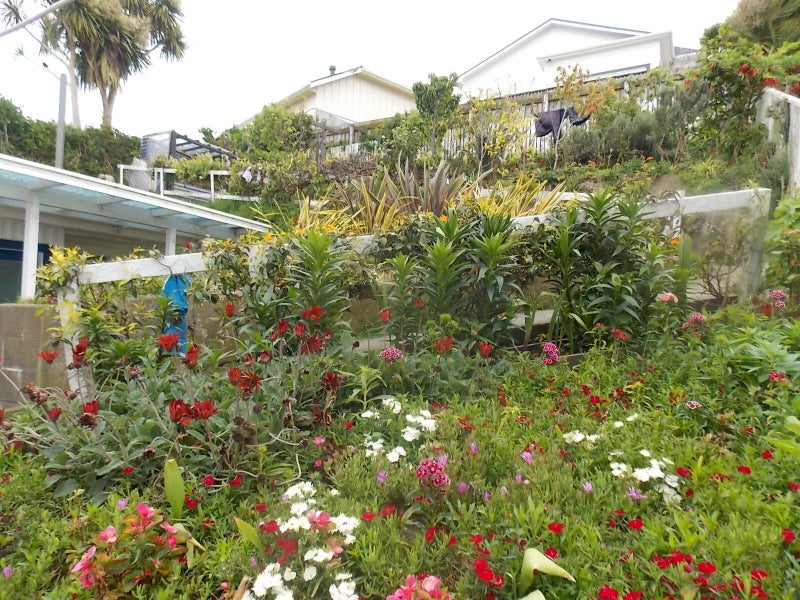 6 Rewa Road, Hataitai, Wellington - Carousel 2