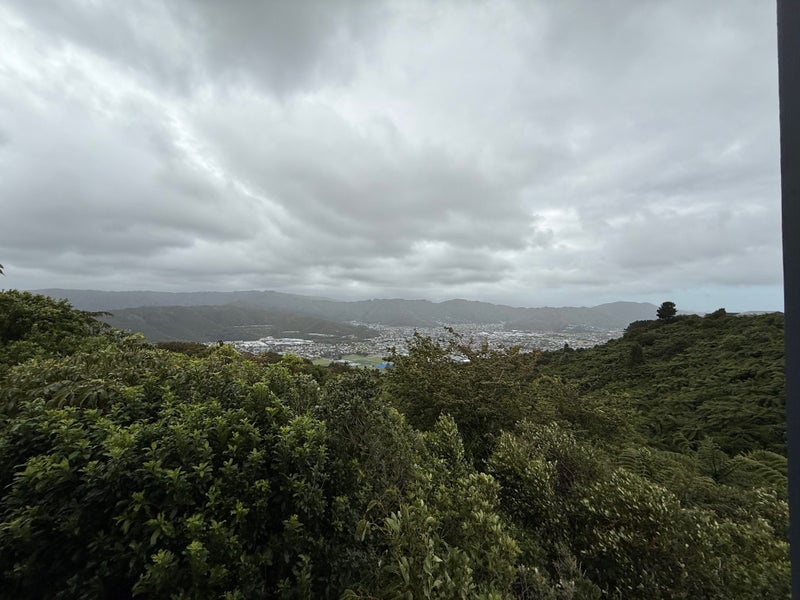 20 Outram Grove, Kelson, Lower Hutt - Carousel 24