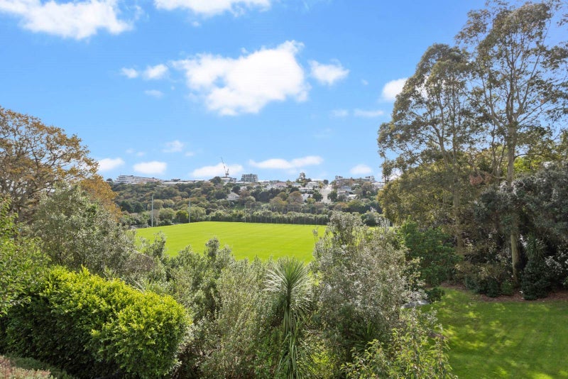 204/8 Kingsland Terrace, Kingsland, Auckland - Carousel 2