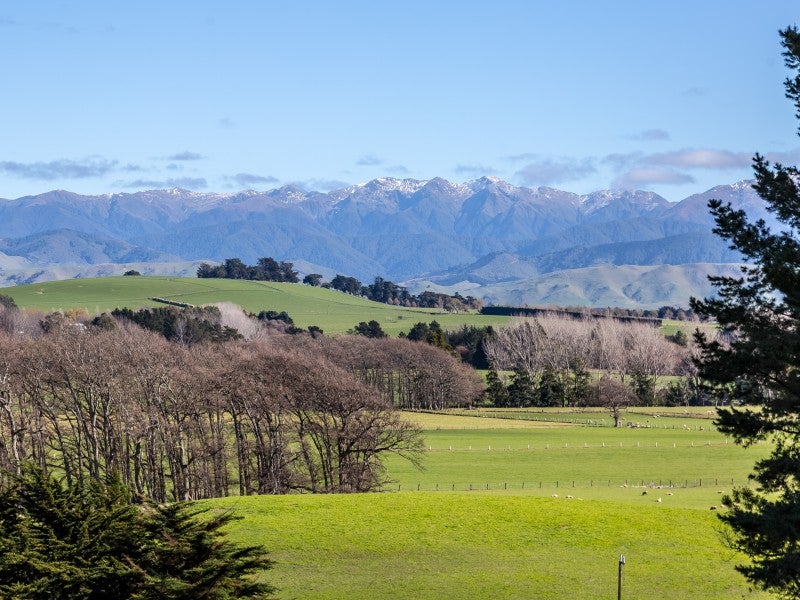 551 Bluff-Rangitumau Road, RANGITUMAU, MASTERTON - Carousel 1