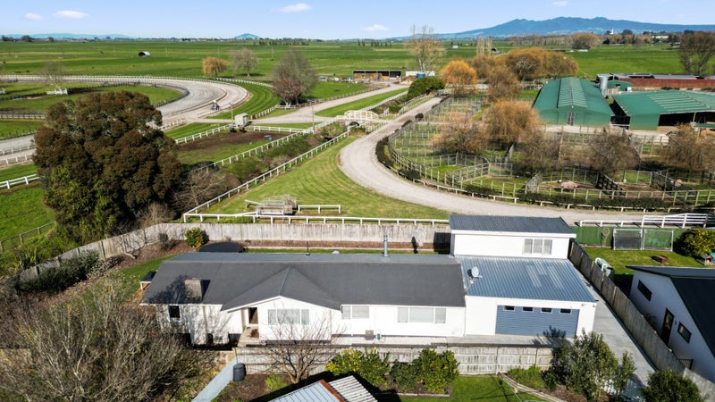 455 Kahikatea Drive, Dinsdale, Hamilton - Carousel 1