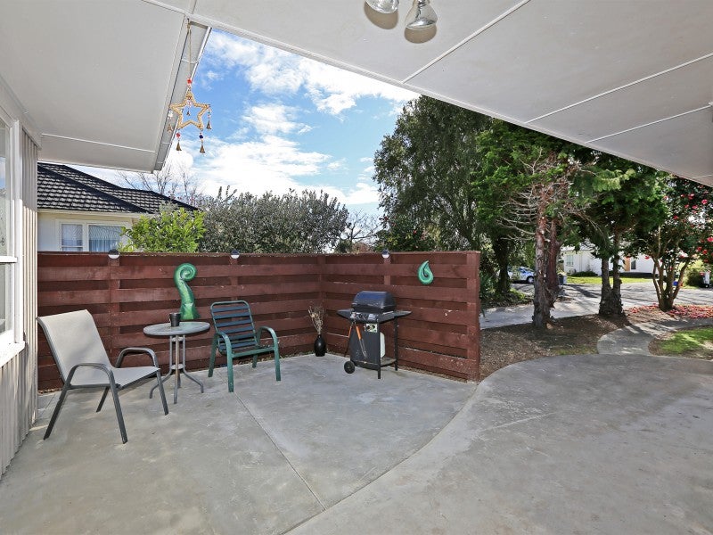 912 Rata Street, Mahora, Hastings - Carousel 11