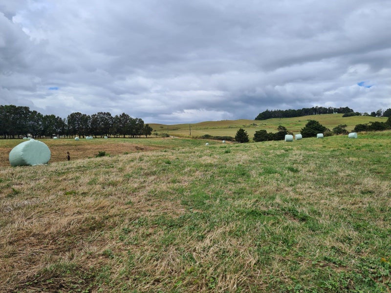 0 Dodd Road, Manukau Heads, Awhitu - Carousel 45