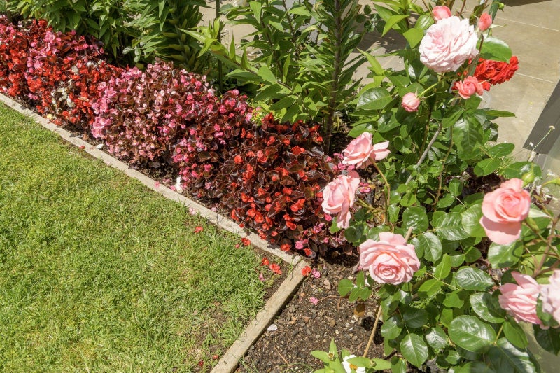 31 Condor Drive, Pyes Pa, Tauranga - Carousel 29