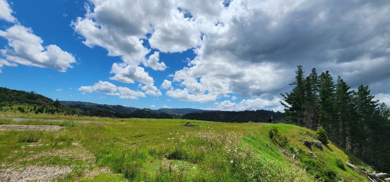 163C Ahuroa Road, Puhoi, Warkworth - Carousel 2