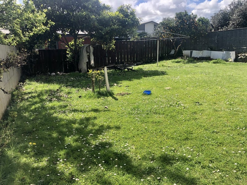 22 Priscilla Crescent, Melville, Hamilton - Carousel 20