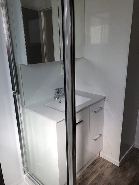 63A Gibson Road, Dinsdale, Hamilton - Carousel 15