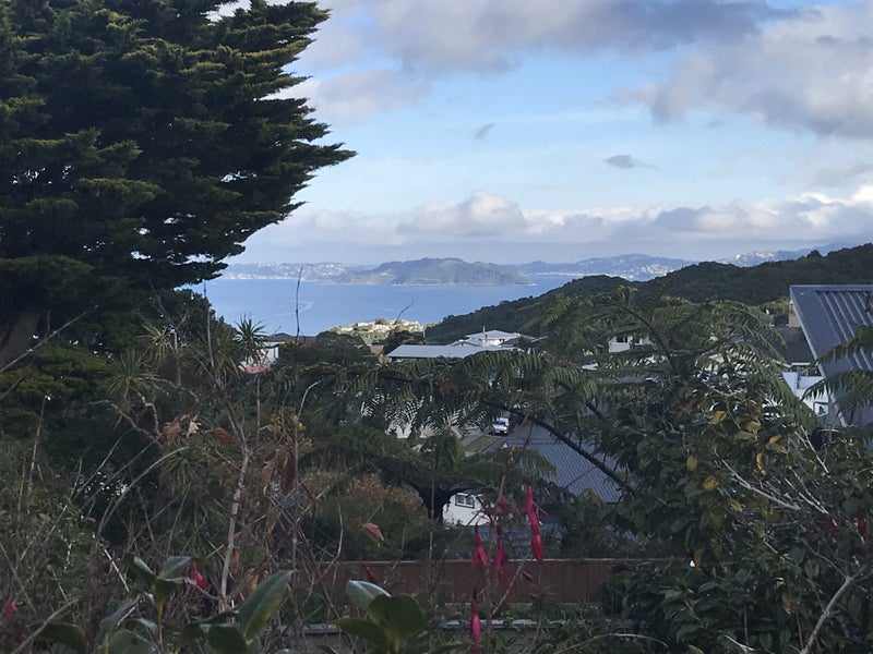 35 Oakleigh Street, Maungaraki, Lower Hutt - Carousel 1