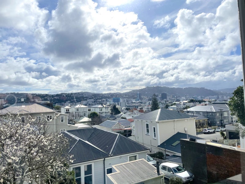 85 Ellice Street, Mount Victoria, Wellington - Carousel 13