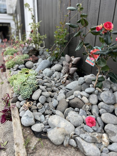 8 Onepoto Road, Hauraki, Auckland - Carousel 27