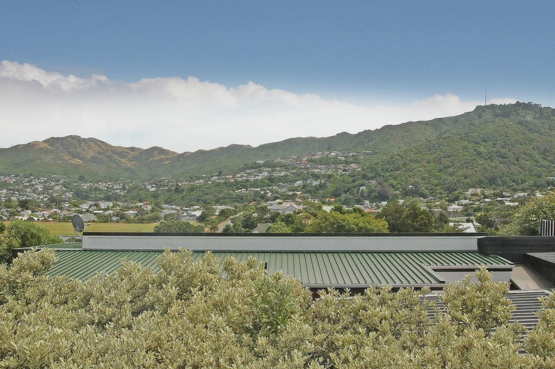 45 Calcutta Street, Khandallah, Wellington - Carousel 24