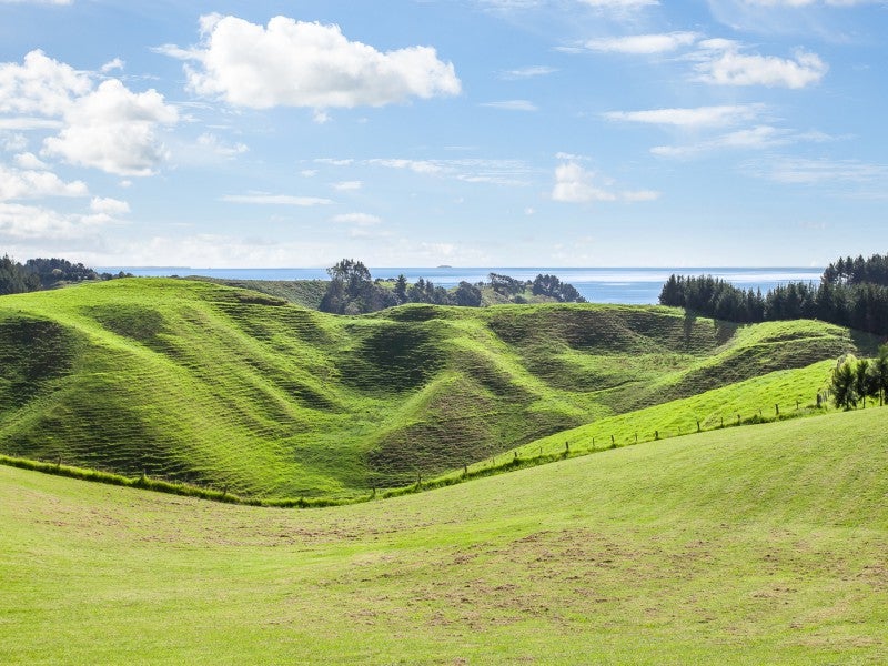 86C Mimiha Ridge Road, Matata, Whakatane - Carousel 1