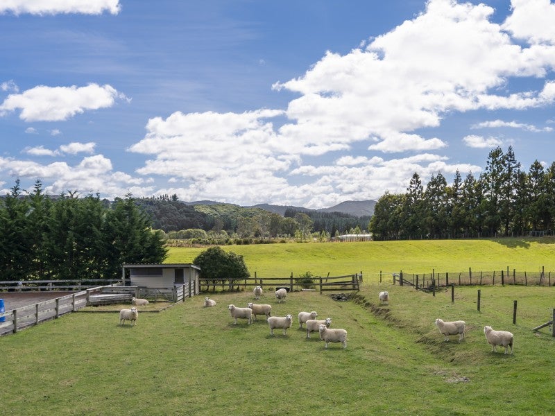 73 Mangaroa Valley Road, Mangaroa, Upper Hutt - Carousel 22