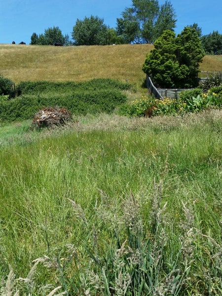 6 Montrose Street, Kaiti, Gisborne - Carousel 2