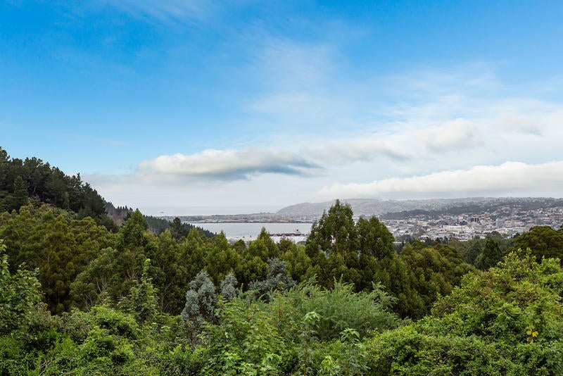 30A Grandview Crescent, Opoho, Dunedin - Carousel 3