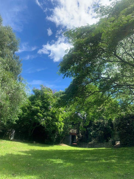 44 Tui Glen Road, Atawhai, Nelson - Carousel 14
