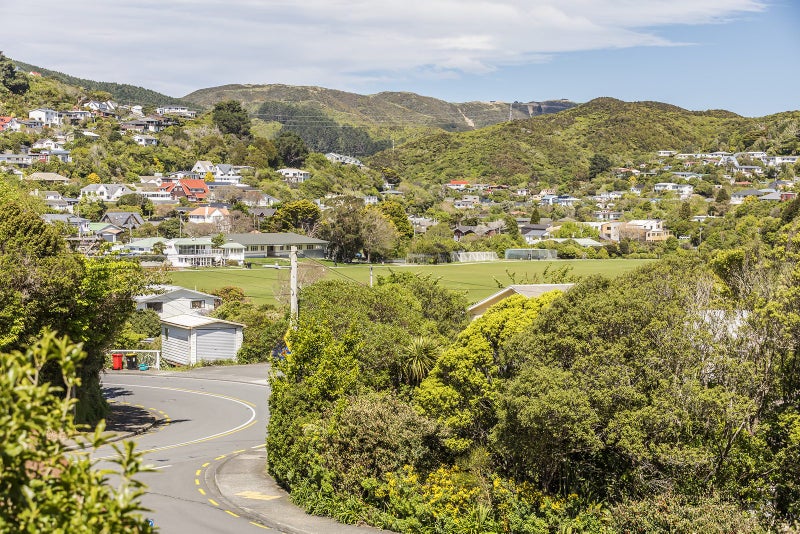 4 Percy Dyett Drive, Karori, Wellington - Carousel 23