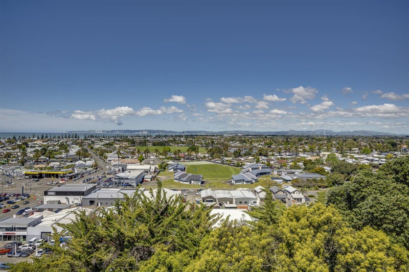32 May Avenue, Hospital Hill, Napier - Carousel 20